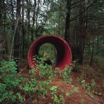 Red, Forest Interventions, 2012. Inkjet print on luster photographic paper, 140x110 cm. Ed. 5+2 AP