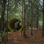 Yellow, Forest Interventions, 2012. Inkjet print on luster photographic paper, 110x140 cm. Ed. 5+2 AP