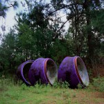 Purple, Forest Interventions, 2012. Inkjet print on luster photographic paper, 140x110 cm. Ed. 5+2 AP
