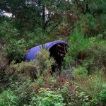 Blue, Forest Interventions, 2012. Inkjet print on luster photographic paper, 110x140 cm. Ed. 5+2 AP