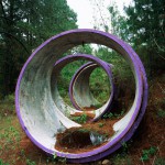 Concentric Circles, Forest Interventions, 2012. Inkjet print on luster photographic paper, 140x110 cm. Ed. 5+2 AP