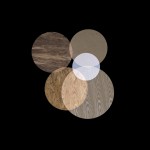 Circles Wood, 2014. Pigment print on Hahnemühle cotton paper, Size:  94 x 76.2 cm Final Size: 106.7 x 89.5 cm, Ed. 5+2 AP