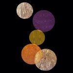 Purple, Orange, Yellow Circles, 2014. Pigment print on Hahnemühle cotton paper, Image Size:  50.8 x 40.6 cm Final Size: 56 x 45.7 cm. Ed. 5+2 AP