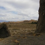 Lone Pine, 2002. Archival inkjet print, 20 x 18 cm. Edition of 10