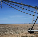 Sealevel. Agriculture Right Margin - 1.000ha - 1956, 2006. Color photograph, mounted on Dibond, Variable dimensions. Ed. 3+PA