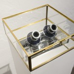 François Bucher&Lina López. The During of The Present, 2015. Glass bell glasses with photographic lenses, 20 x 20 x 15 cm. Ed. 3 + 2AP. (detail).FLORA ars+natura, Bogotá.