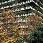 Minimal Landscapes. The planter. Tower Flower, Paris, 2007-2010. Silicon C-Type print below methacrylate, 153x120 cm. Ed. 3+1 AP