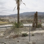 Desértica #03 Palm Trees. Tabernas, Almería, 2006.Archival inkjet print on cotton paper, 32x44 cm. Edition of 10