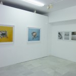 Alejandra Laviada, 2010. Exhibition