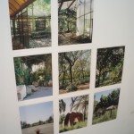 About natural  contract, 2009. Exhibition view
