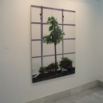 About natural contract , 2009. Exhibition view