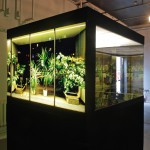 The Glass Trap, 2010. Installation view at the Ciech building in Warsaw