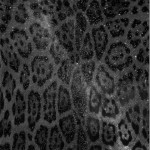 Que muera conmigo el misterio que está escrito en los tigres, 2016. Gelatine silverprint remastered negative, 73x37 cm. Ed.5 + 2 PA