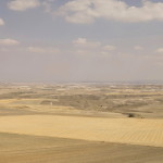 La Mancha #9, 2009. Archival pigment print on cotton paper,116x146 cm. Ed. 5+2 AP