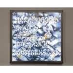 Anisotropía #7 - Consensus Reality is a Serotonin Hallucination, 2019, Polarizing filter, acrylic, PT (polyethylene terephthalate), led light panel, 60x60 cm