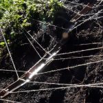 Knot the Tongue, Grasp a Stream, 2021. Tejas viejas de casas azorianas demolidas, cuerdas, nudos, árboles, agua. Old demolished Azorean houses, ropes, knots, trees, water, 1x1 cm (detail)