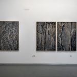 Vistas de exposición