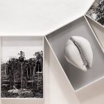 El Anillo de Fertilidad, 2024. Ira Lombardía. Impresión de pigmentos naturales sobre papel de algodón. (Detalle)