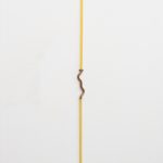 Arquitecturas terminales, 2020. Mercedes Pimiento. Exhibition view.